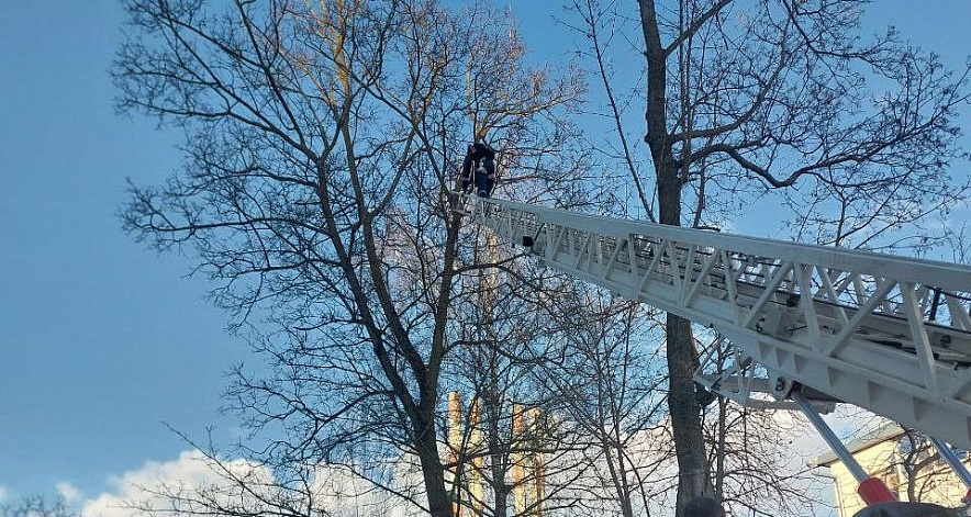 Фото: пресс-служба ГУ МЧС России по Белгородской области