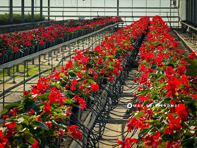 Фото: пресс-служба мэрии Белгорода