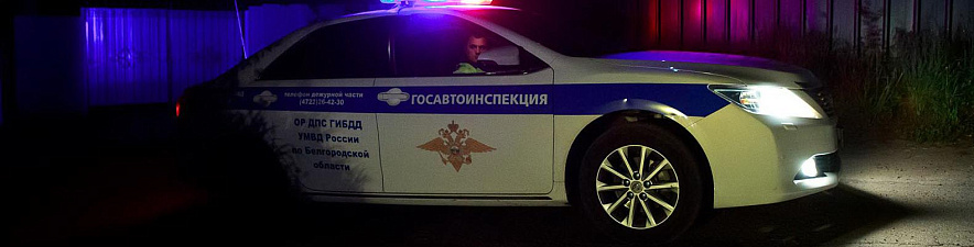 Фото: Антон Вергун