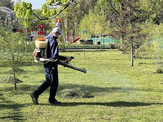 Фото: пресс-служба мэрии Белгорода