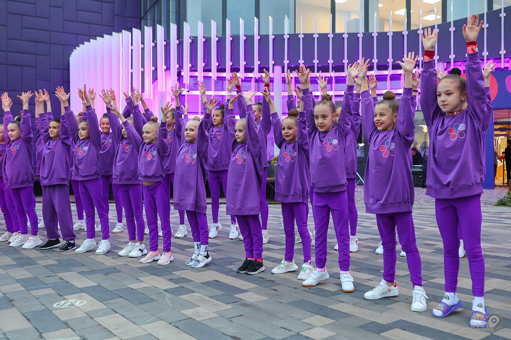 Центр спортивной гимнастики сирень