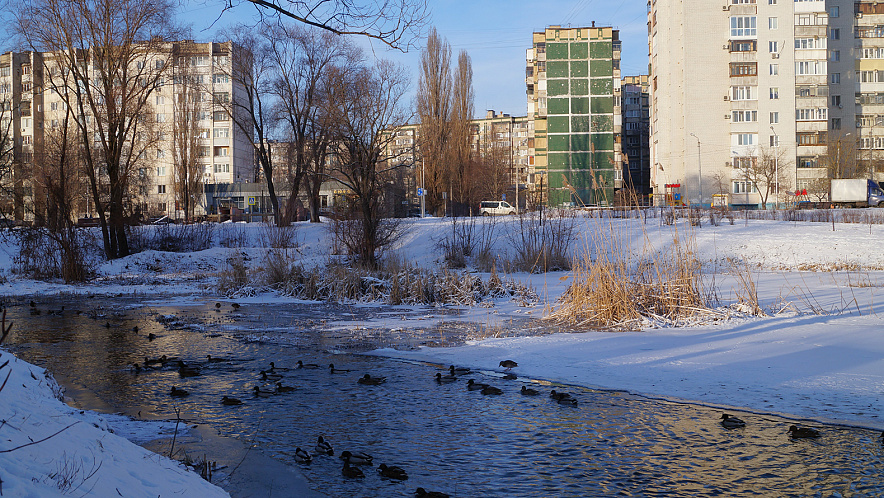 Фото: Дарья Егорова