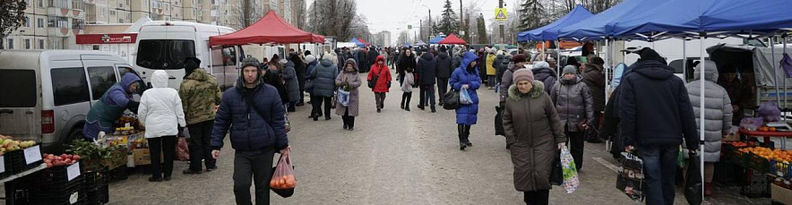 Фото: Вячеслав Гладков