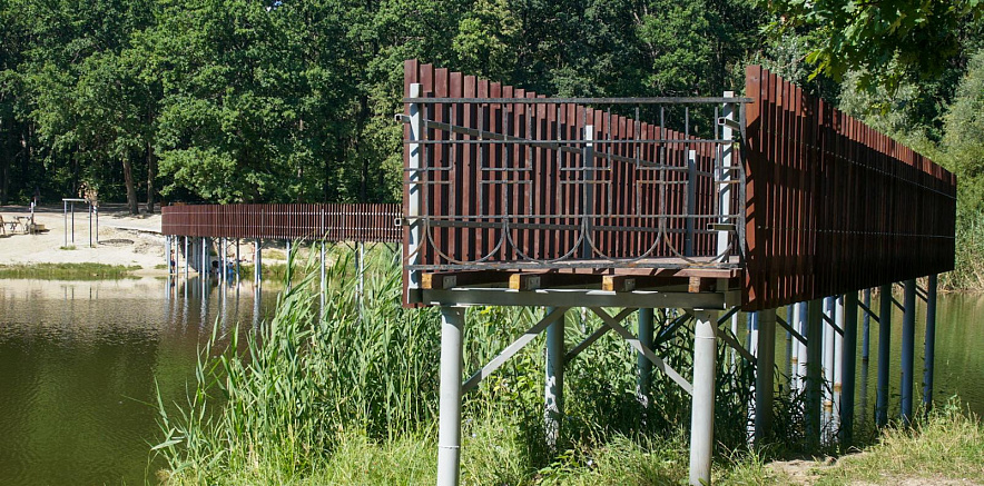 Фото: Милана Стёпина