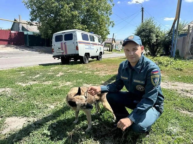 Фото: пресс-служба ГУ МЧС Белгородской области
