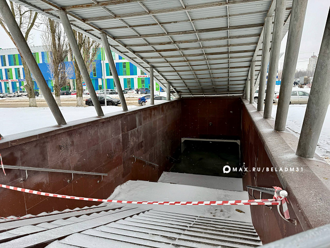 Фото: пресс-служба мэрии Белгорода